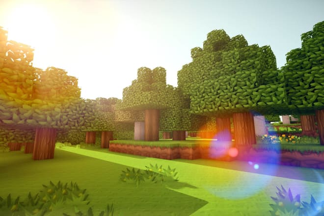 I will afk for you on any minecraft server