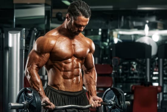 I will build a professional gym, weight equipment fitness or workout website