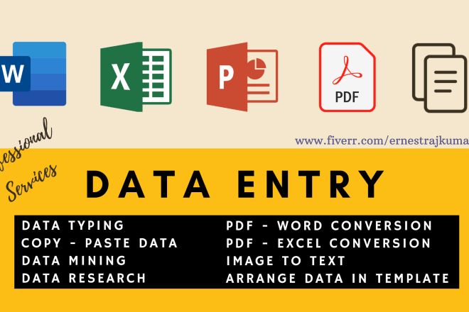 I will do perfect data entry, copy paste and data mining