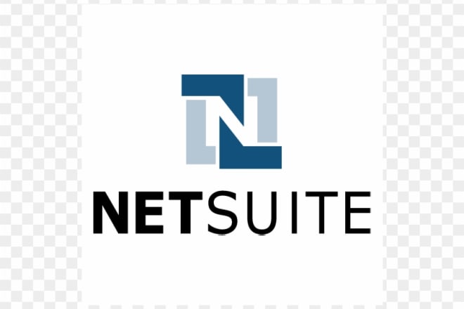 I will netsuite consultant lead developer