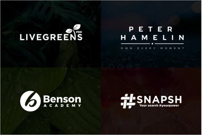 I will do business logo design
