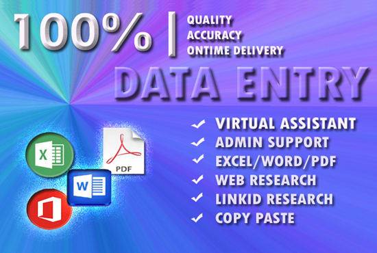 I will do professional data entry work