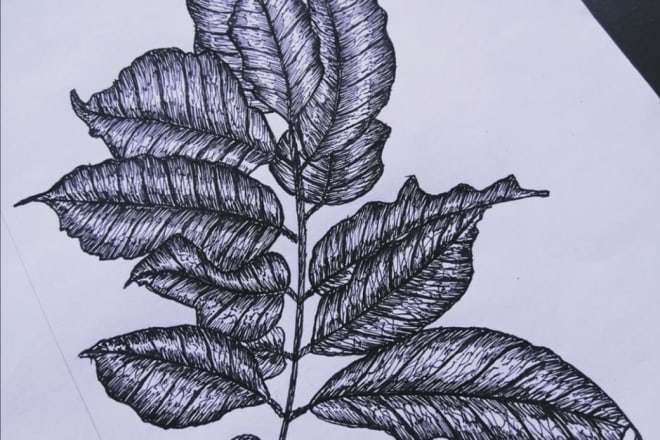 I will teach online pen essentials for better drawing